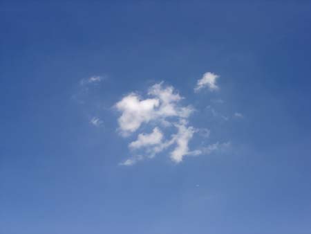 c14