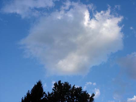 c28